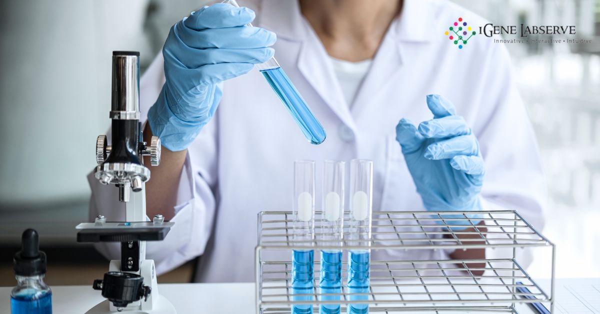 Gel-Documentation-System