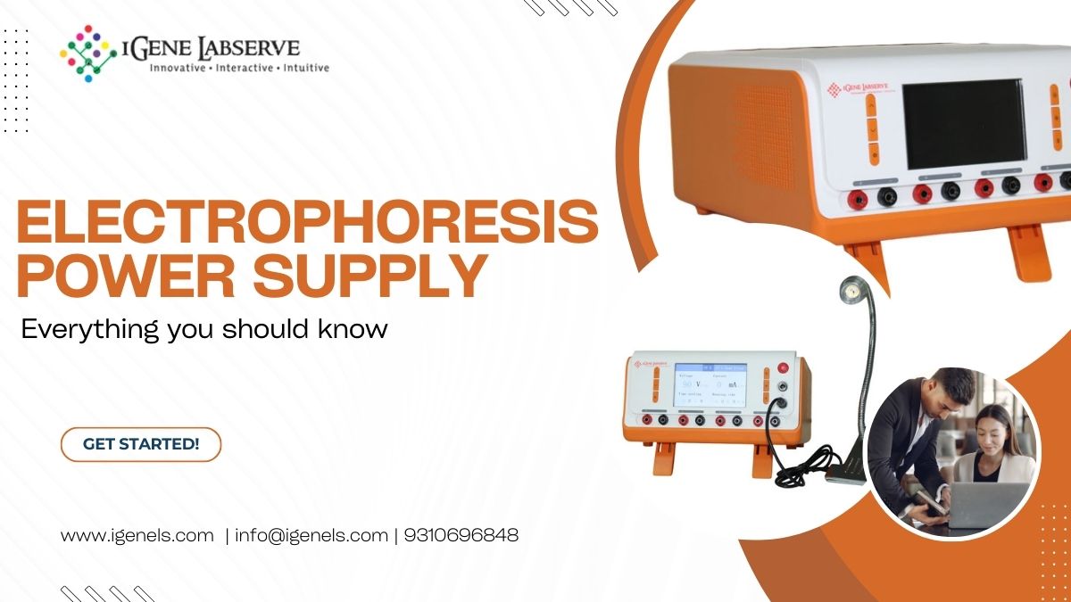 Electrophoresis Power Supply